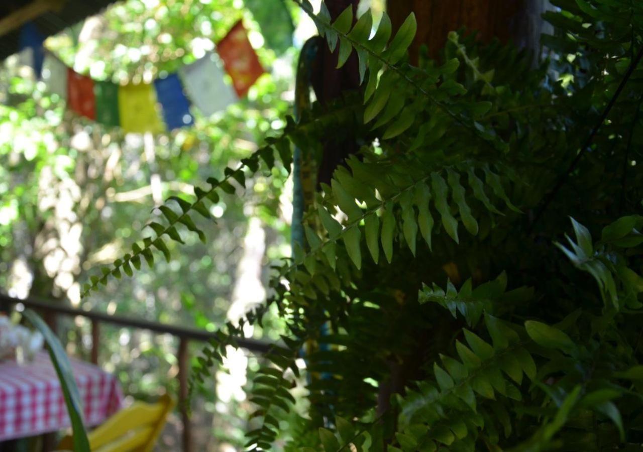 Quinta Do Caju 2*